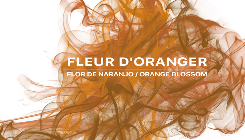 Fleur D'Oranger Ambiance Frangrace