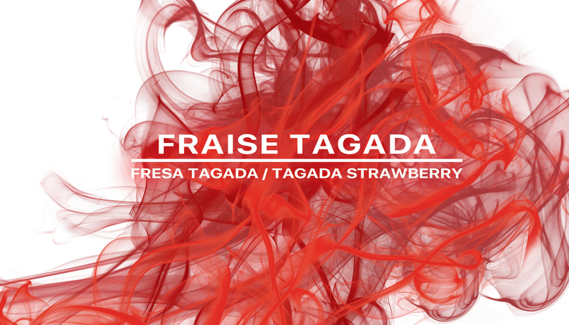 Fraise Tagada Fragrance